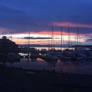 Meet your Posher, Allie